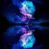 galaxyrose567